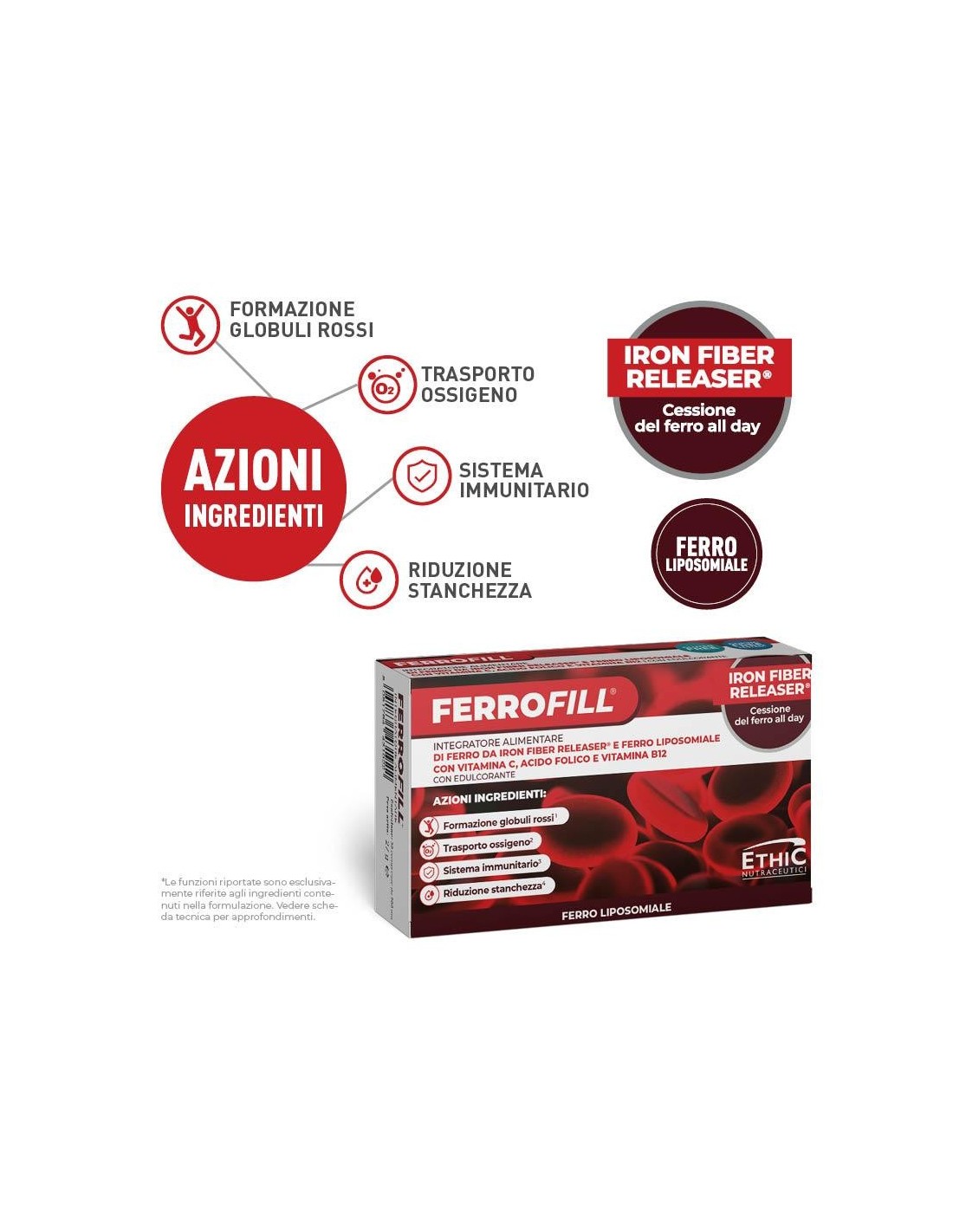 EthicSport Ferrofill – Integrazione di ferro ad alta biodisponibilità con vitamine e acido folico ETHICSPORT - 2